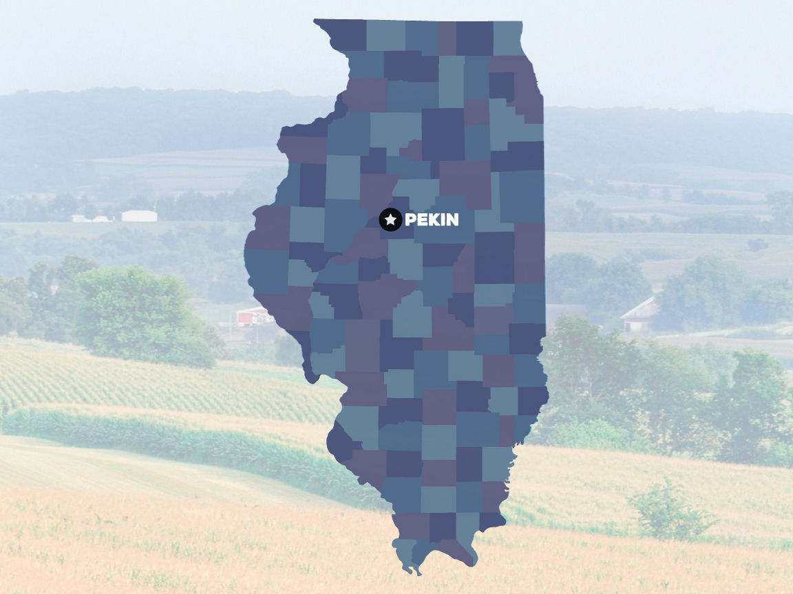 Pekin